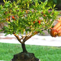 Обзор самых качественных и бюджетных товаров#4