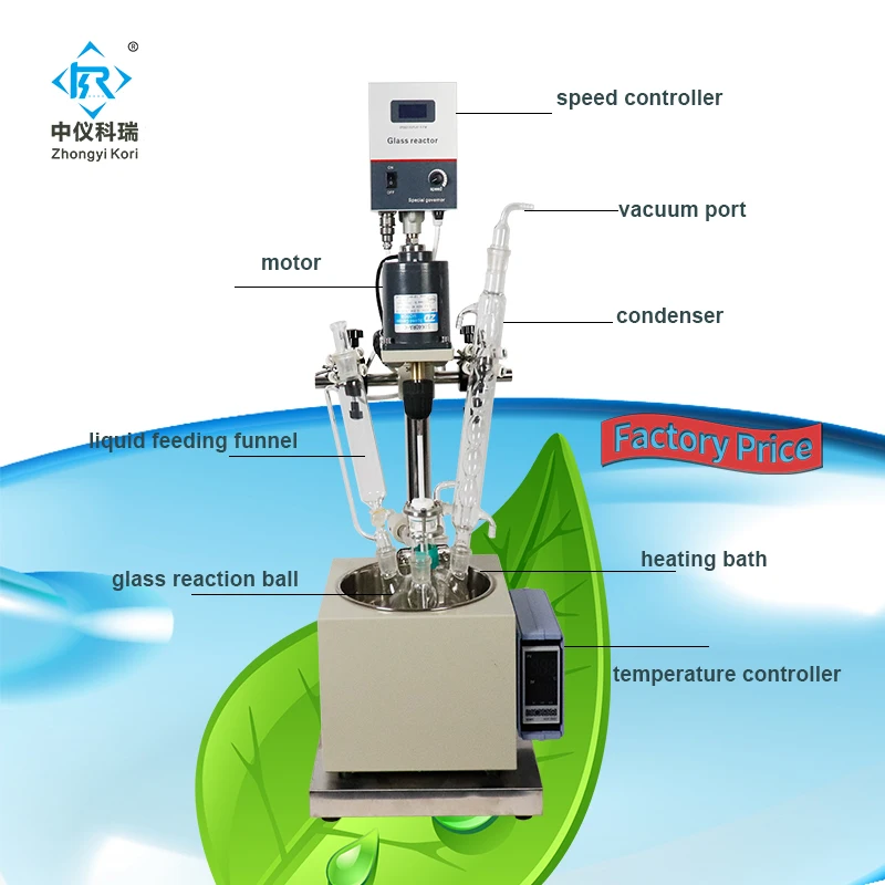 

DF-1L Single Layer Glass Reactors with Stainless steel Water oil Bath or Heating mantle for chemical synthesis