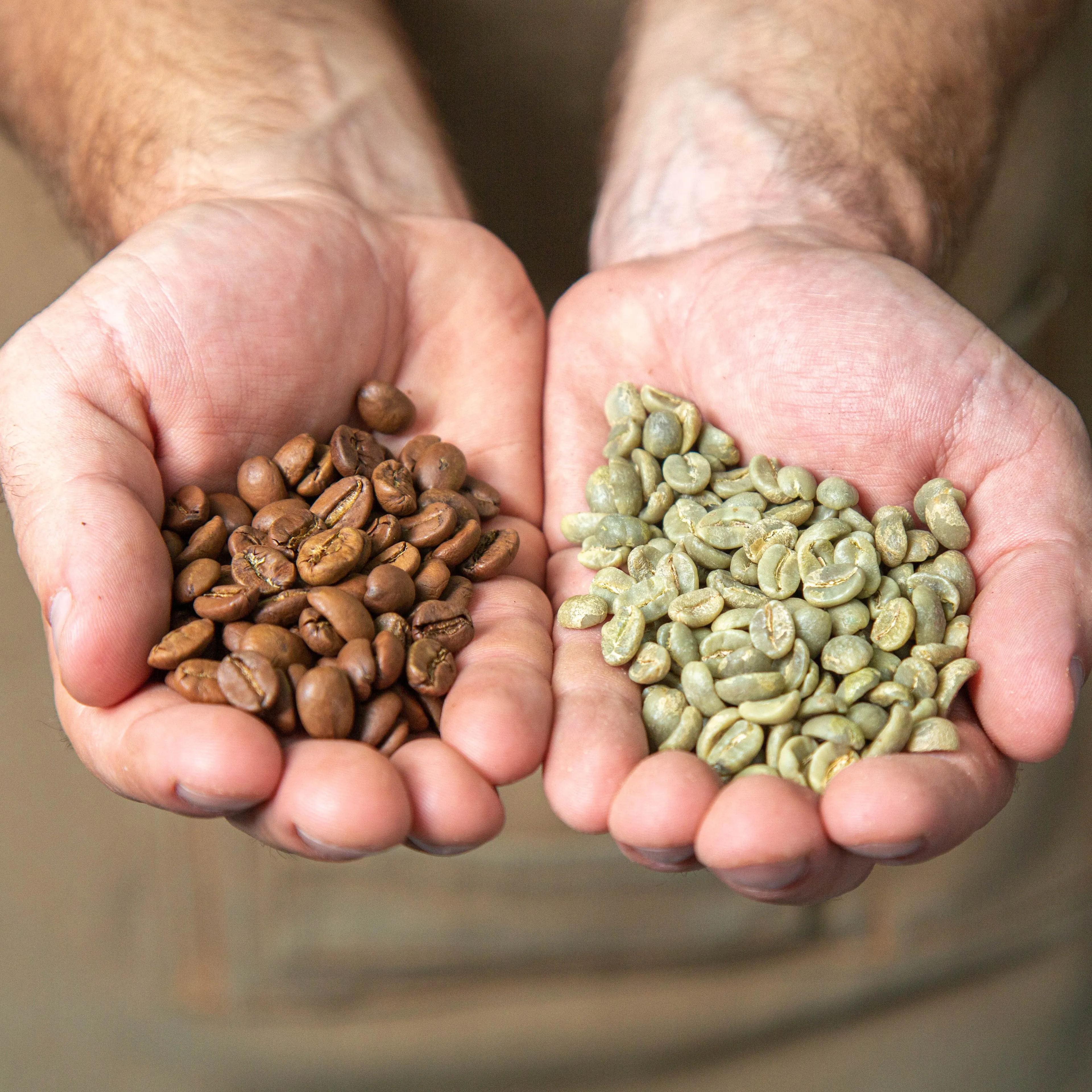 Бразилия Серрадо  кофе в зернах    1 кг Beazil Cerrado coffee bean (art.: 3920b2cd98eff) - 3920b2cd98eff