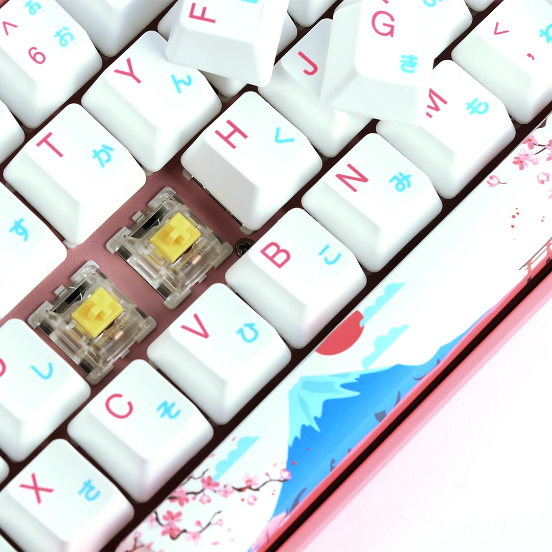 Akko 3061 R2 World Tour Tokyo 61 Keys RGB 60% Wired Mechanical Keyboard with PBT Japanese Keycaps NKRO Gateron Switch
