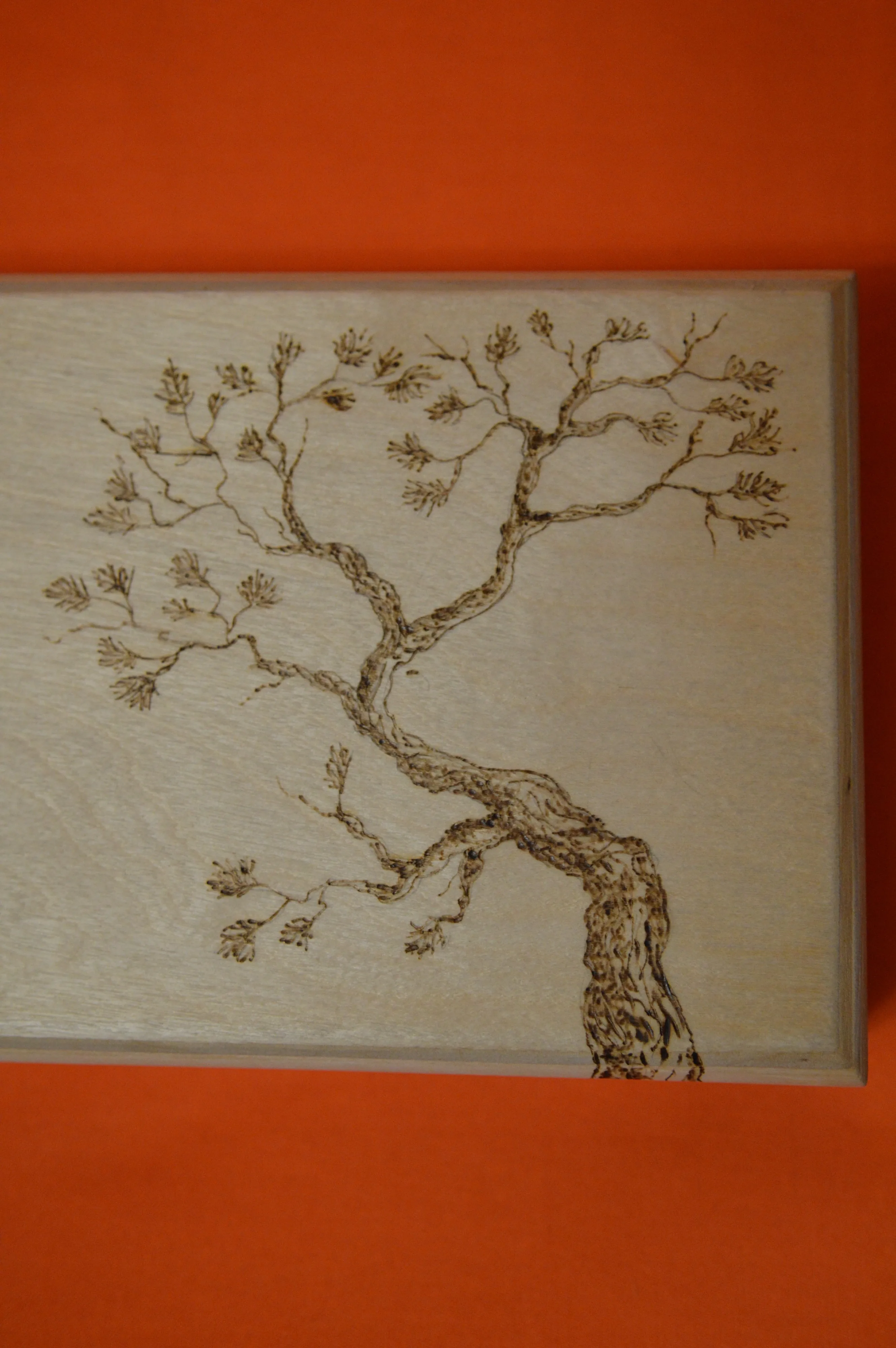 Sakura Japan A box for playing cards or small things of natural wood Pyrography Gift Souvenir Author's hand-painted Exclusive |
