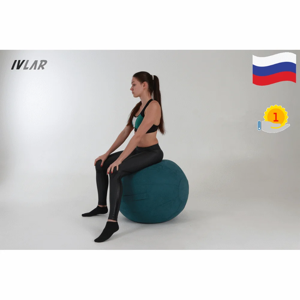 Фитбол. Швейцарский мяч.В чехле из дышашей ткани с ручкой ножным насосом. Yoga Ball
