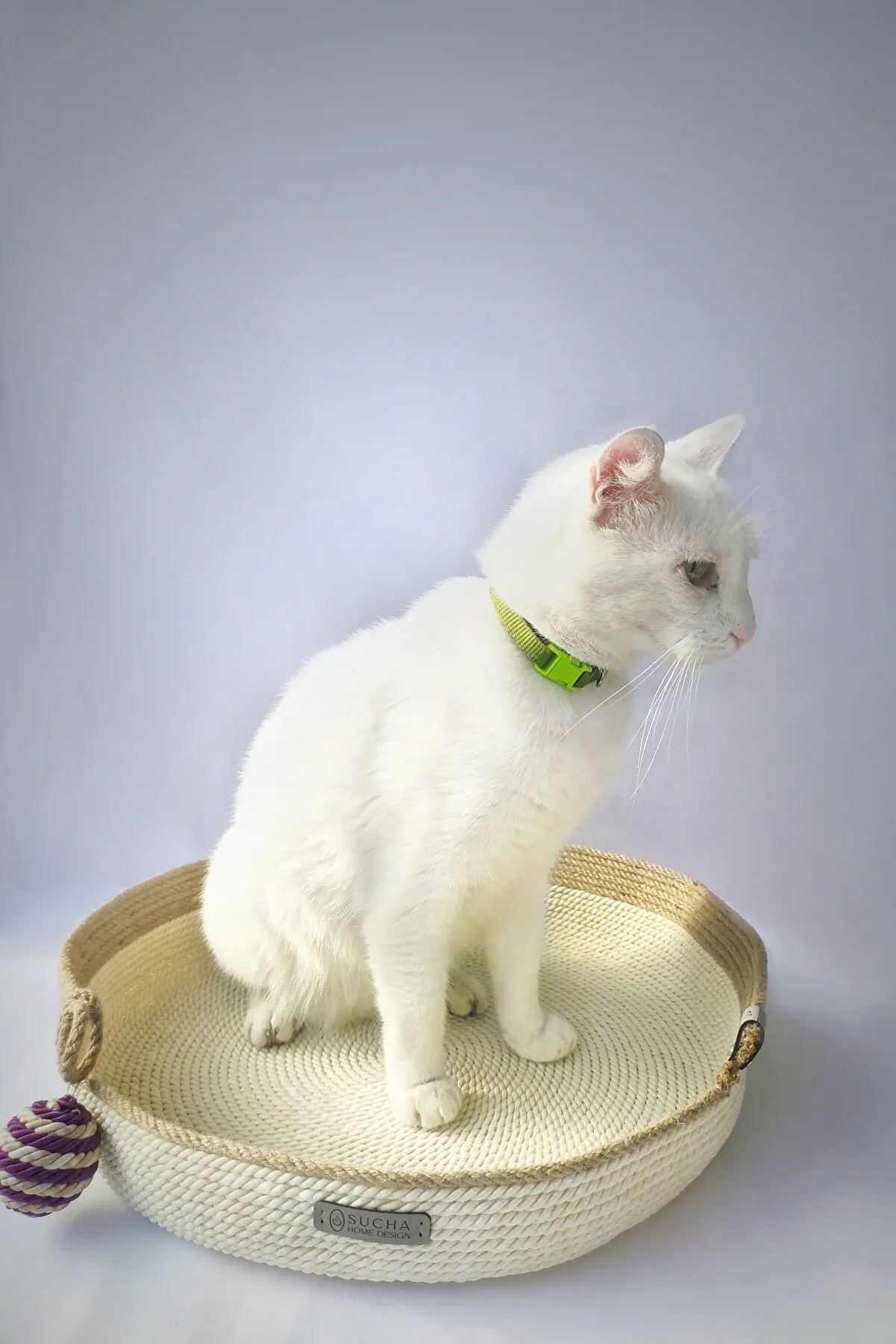 

Cat Bed, Natural Hand Planting, Cushioned, Sturdy, Sleek Design, Damp cloth Silnebilir, useful Home Decor
