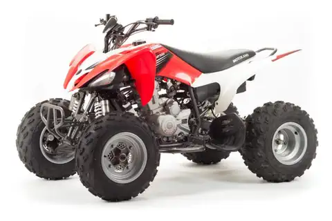 Квадроцикл спортивный Motoland 250S - изображение