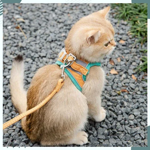 

Cat Dog Adjustable Harness Vest Walking Lead Leash For Puppy Dogs Collar Polyester Mesh Harness For Small Medium Dog Cat Pet