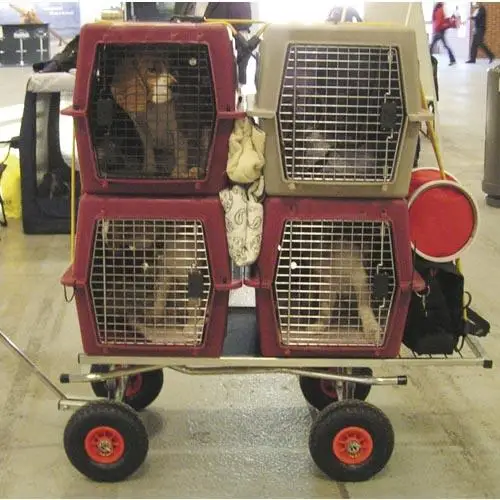 Лучший в шоу таблице лучший таблице|Мебельные ножки| |