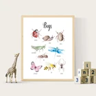 Насекомые Акварельная живопись художественная печать Жук Бабочка Божья коровка естественное обучение холст постер детский Декор