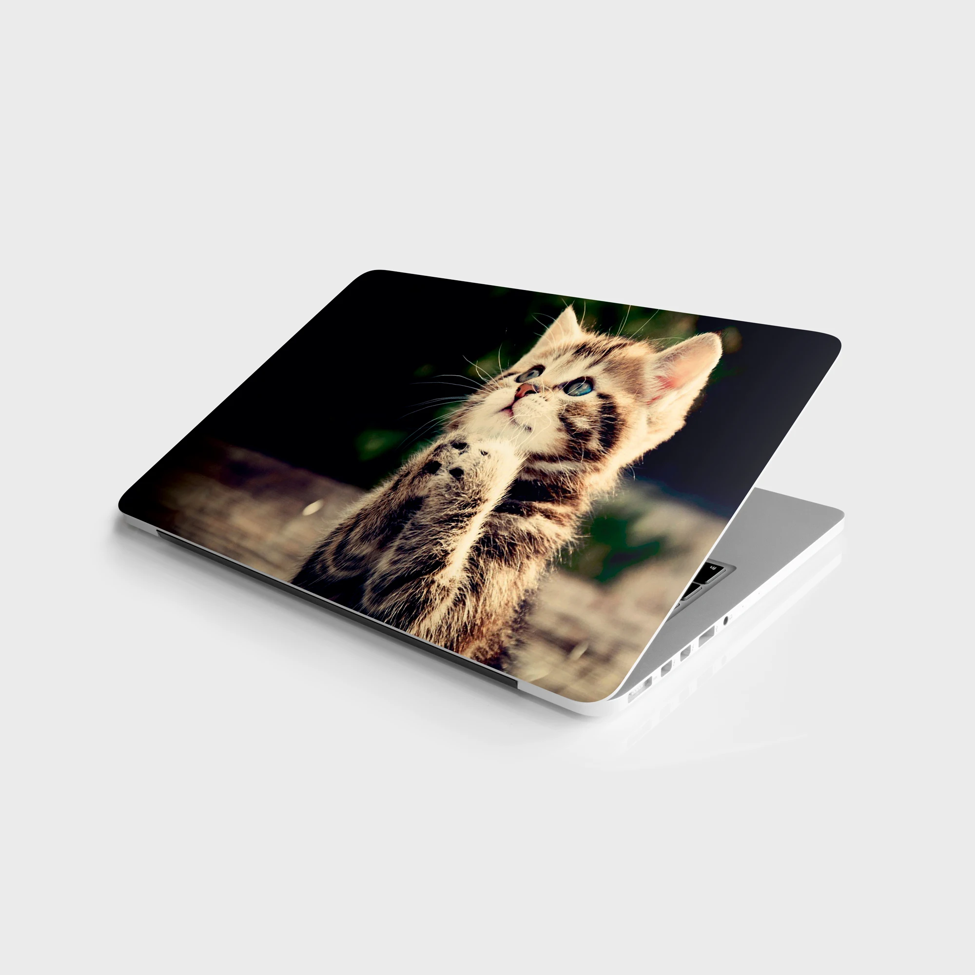 наклейка master cat 1 для ноутбука вин