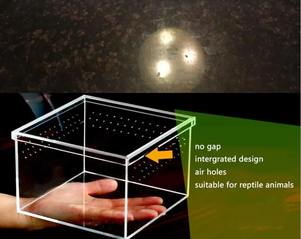 Для улитки акриловая стеклянная коробка ваза мини пейзаж Сказочный Сад DIY Террариум бутылка Achatina