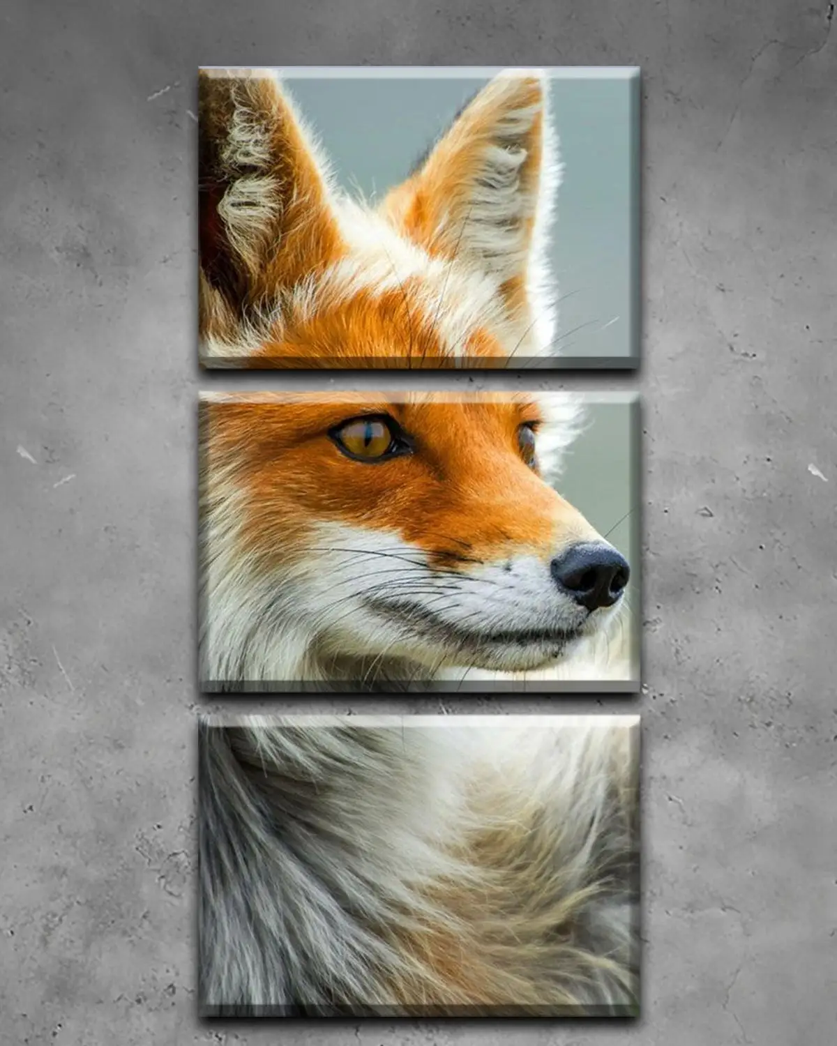 Трехмодульная горизонтальная картина на холсте. Рисунок дикого лиса. | Дом и сад