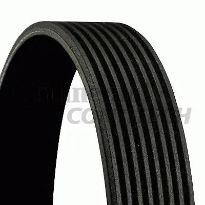 V-ribbed belt MB W164/W221/W251 4.0CDi 06 CONTITECH 8PK229 |