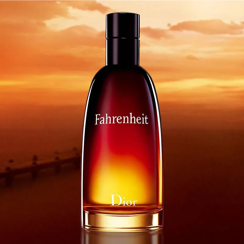 Духи Парфюм для мужчин Туалетная вода Dior Fahrenheit (Euro) 100 мл |