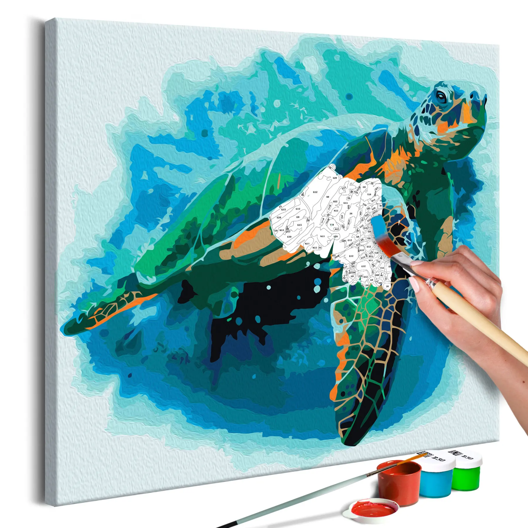 Сделай Сам picture tortoise 40x40 см|Рисование и каллиграфия| |