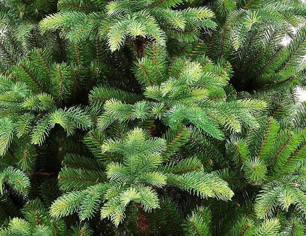 Елка искусственная из пвх. Ель из пвх. Елка сосна 180 см. Ели пвх. Ель искусственная пвх.