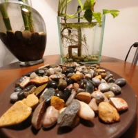 river gravel pebbles 1 2 cm 490 500 gram for aquarium fish glass or vase very decorative stones