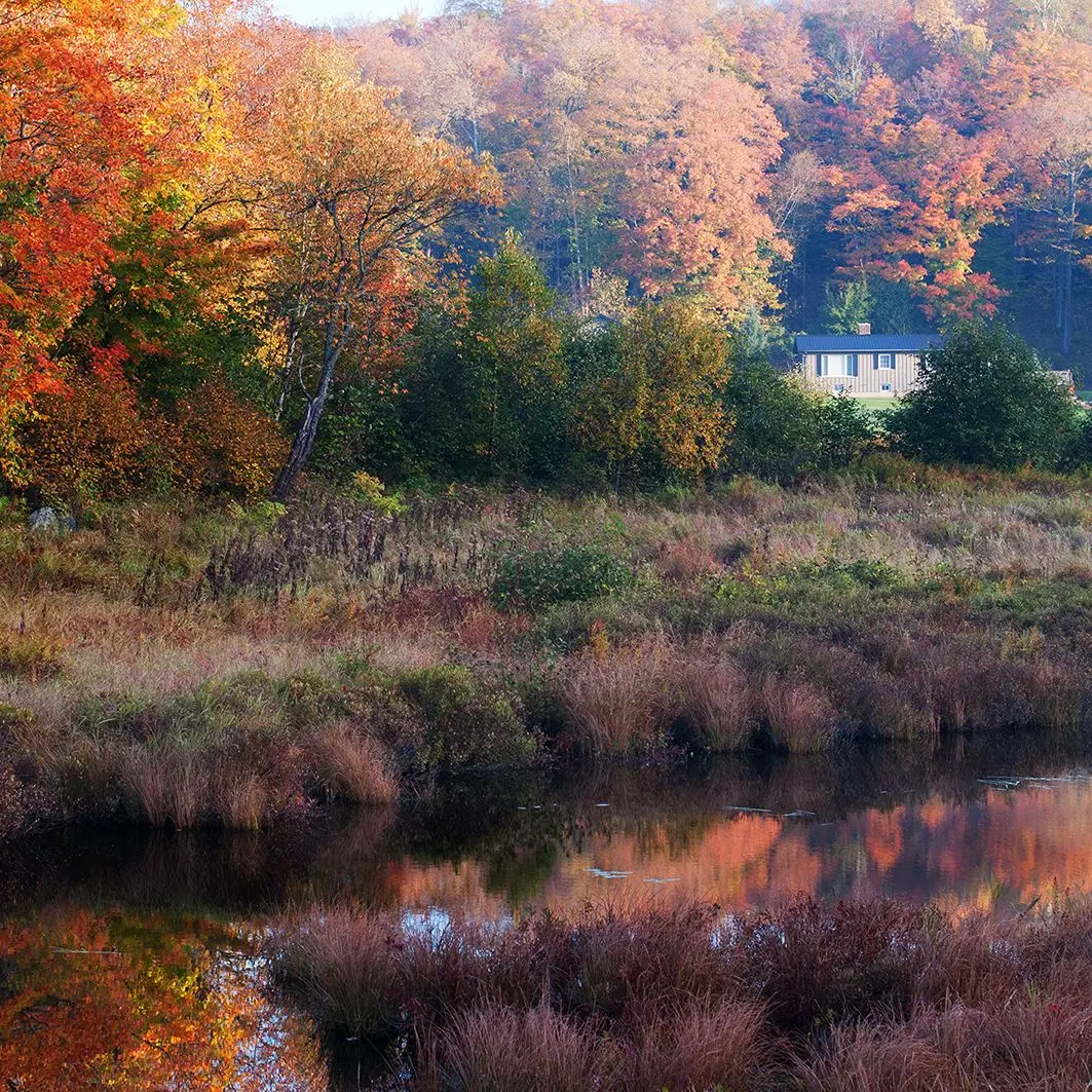 Занавеска для душа Осенняя листва Риверсайд деревья лес дом Сельский спокойный