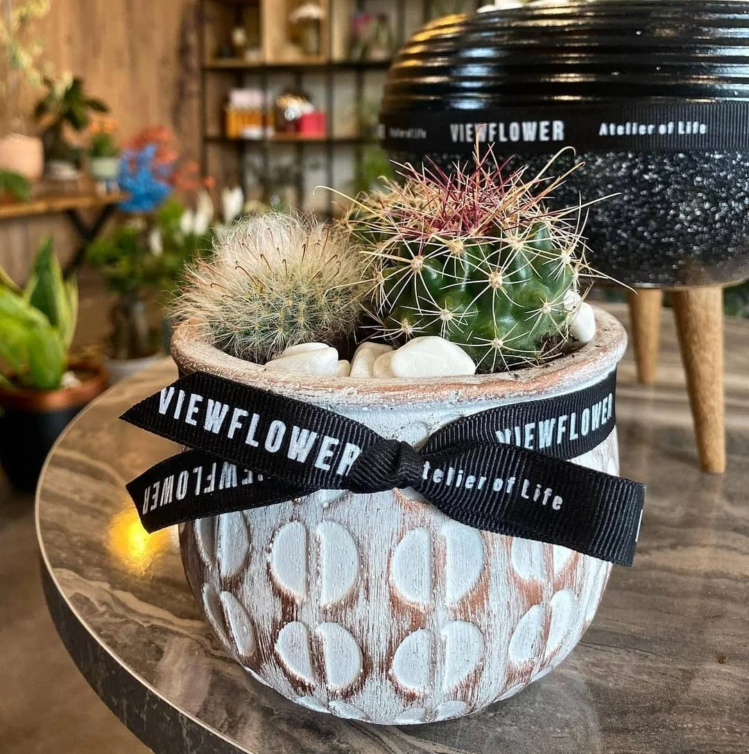 

Современный бетонный горшок/Элитный горшок/украшение/сад/наружный/внутренний/элегантный/kullanış