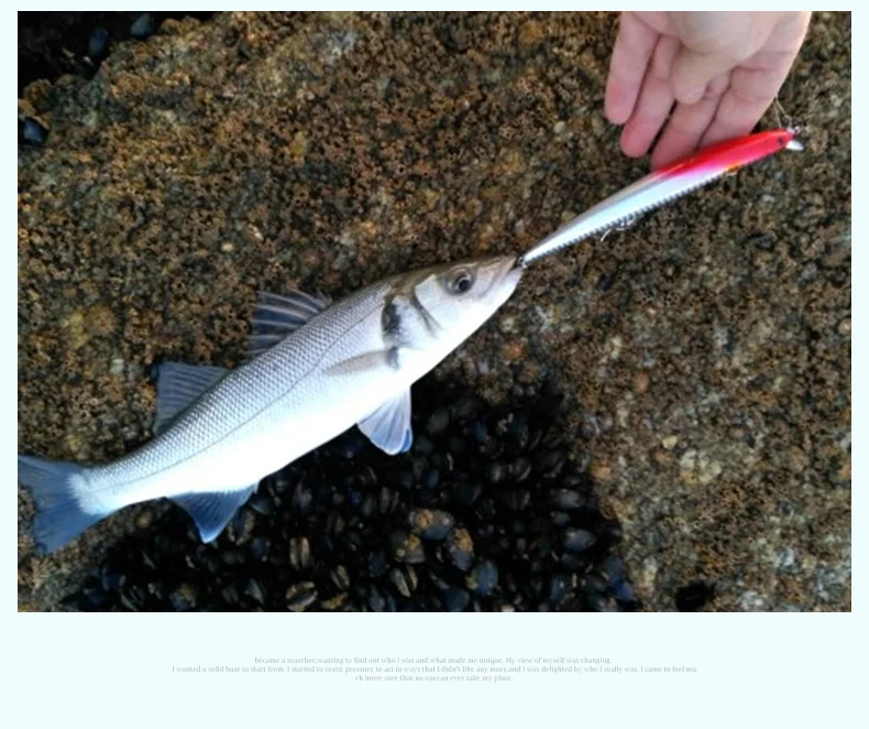 Kingdom Floating Minnow морская Рыбная приманка вобблер погремушка звук жесткая приманка искусственная Джеркбейт модель 5333 120 м, 14,5 г/143 мм, 21 г