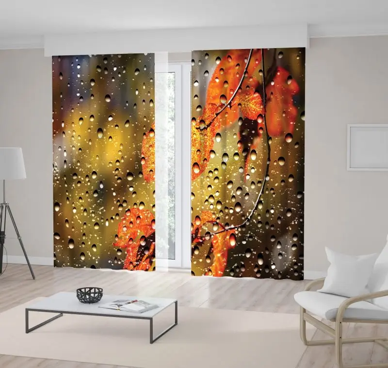 

Curtain Autumn Yellow Leaves Tree Branch View through Water Drops Covered Window Sunlight Warm October Day View Brown Green