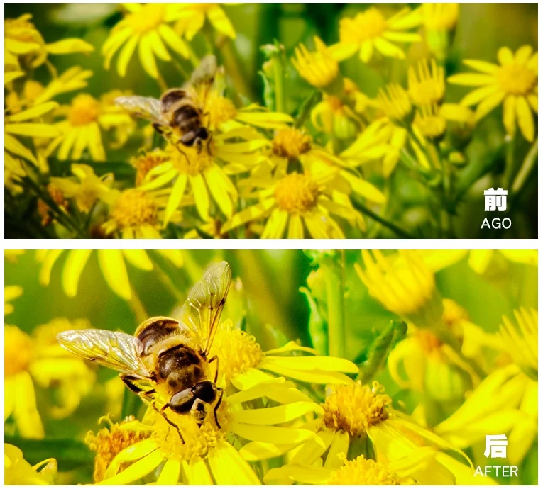 Объектив Sirui Макро | Мобильные телефоны и аксессуары