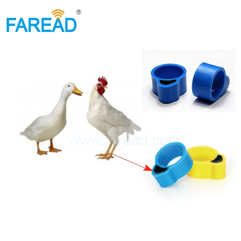 

Free shipping x100pcs EMID 125KHz RFID chip tag Chicken duck foot Ring for identify