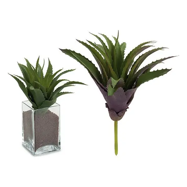 Decorative Plant (25 x 27 25 cm) |