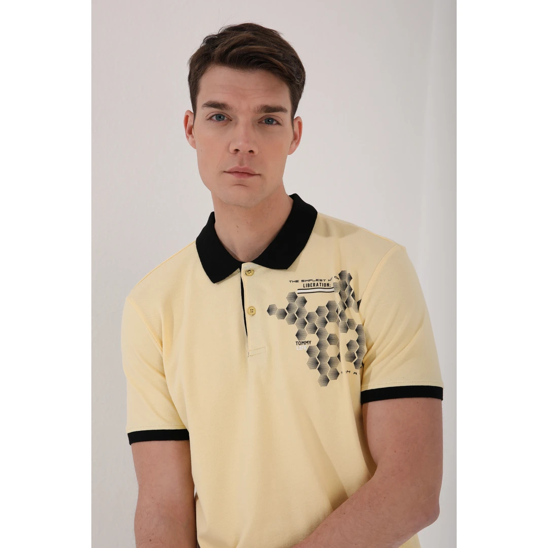 

Hexagonal Pattern Printed Standard Pattern Polo Neck Men's T-Shirt - 87928