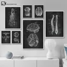 Анатомия человека, художественное произведение, медицинская Настенная картина, скелет органа, Мышечная система, винтажный плакат, холст, печать, боди, образование, живопись
