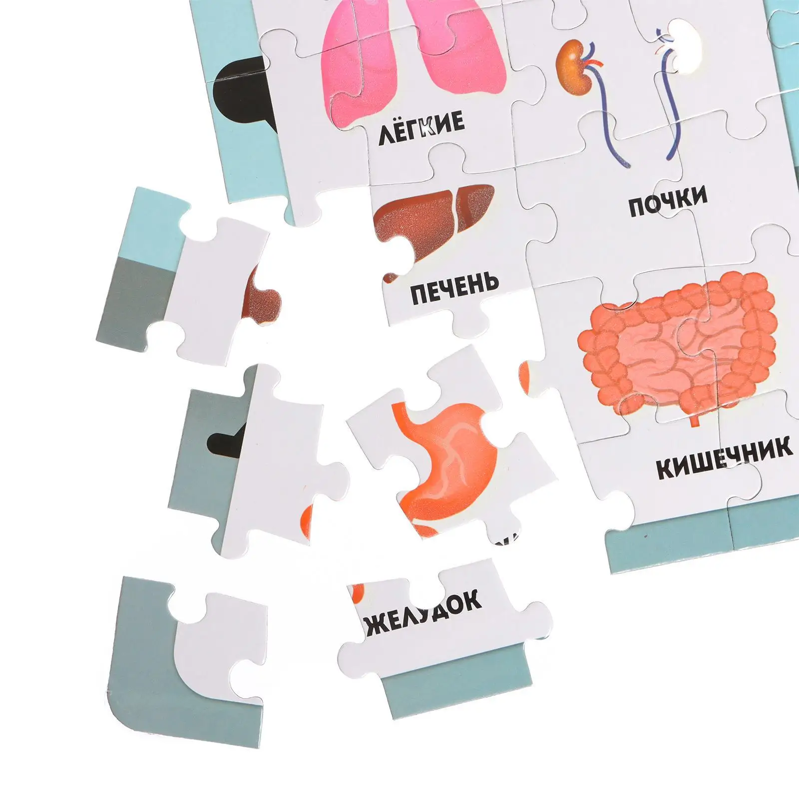 Пазлы светящиеся &quotРентген-кабинет&quot 88 деталей | Игрушки и хобби