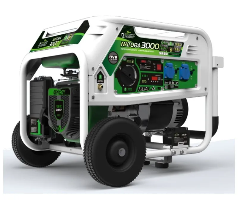 Газовый Генератор GENERGY Nature 3000 W MONOF. 230 В ARR/Электрический | Строительство и ремонт