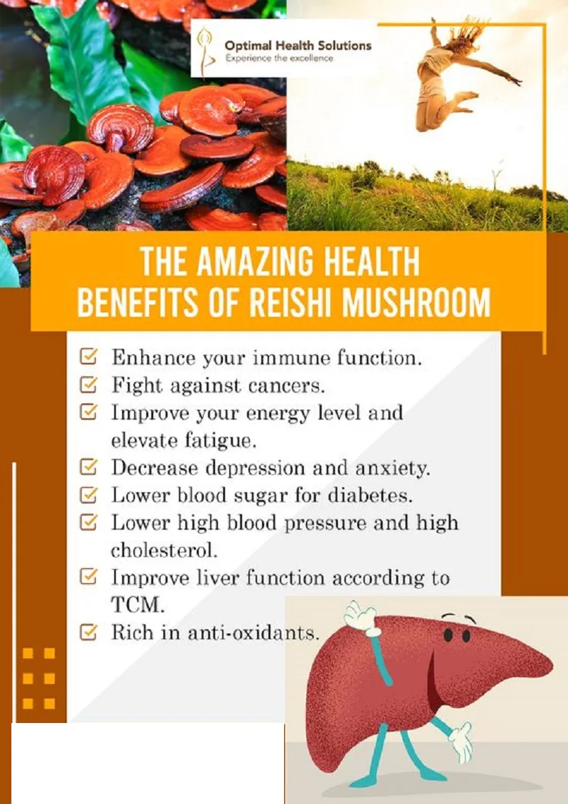 

NUTRIPLUS REISHI mushroom EKSTRES 60 capsules