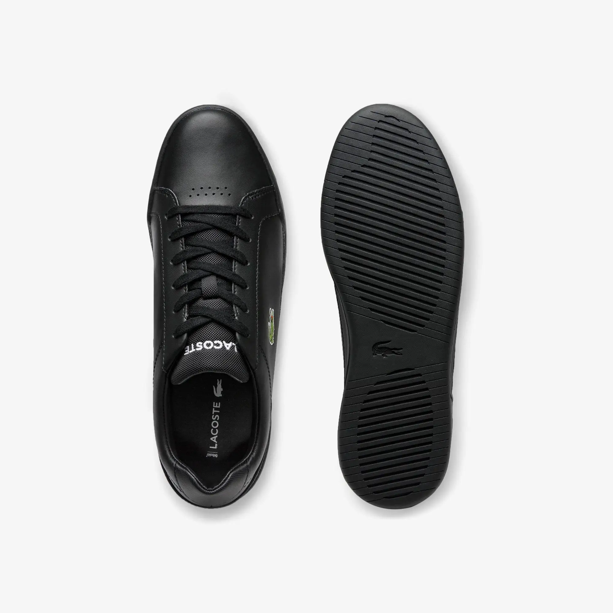 Original Lacoste Challenge 0120 2 Sma Male Leather Black Sports Shoes 740  SMA0080 - 02H Lacoste Men Leather Sneaker - Women Treasures
