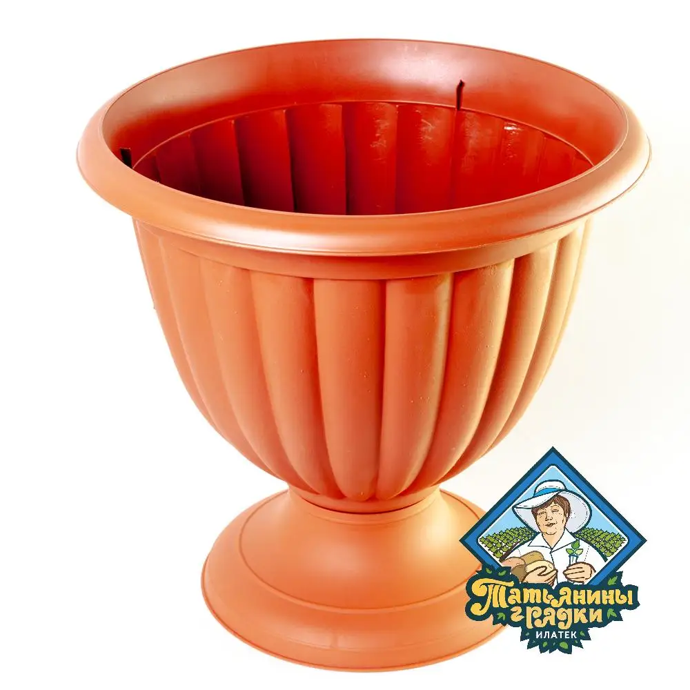 Яна кузьмина стретчинг. Стройные женские ноги. Ножка грация. Колготки кальцедония 2021. Мэгги грейс фото.