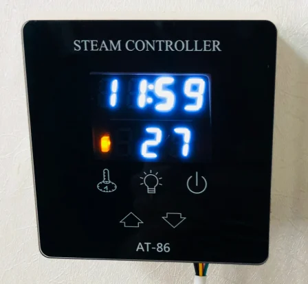 Free Shipping Factory Supply 1 phase 6KW 220-240V Steam Generator For Sale Bathroom | Обустройство дома