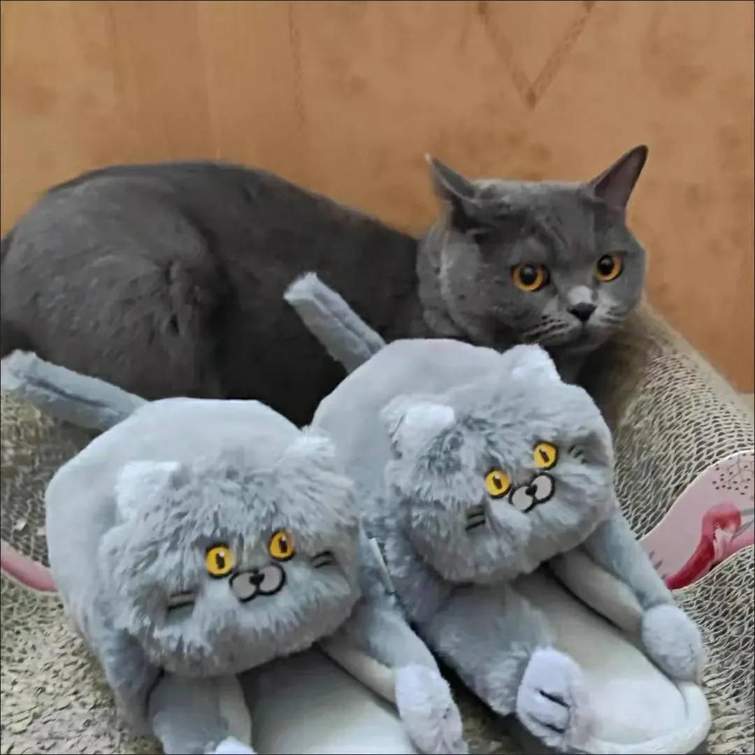 Симпатичные тапочки в виде кота для женщин и мужчин Зимняя женская мужская обувь