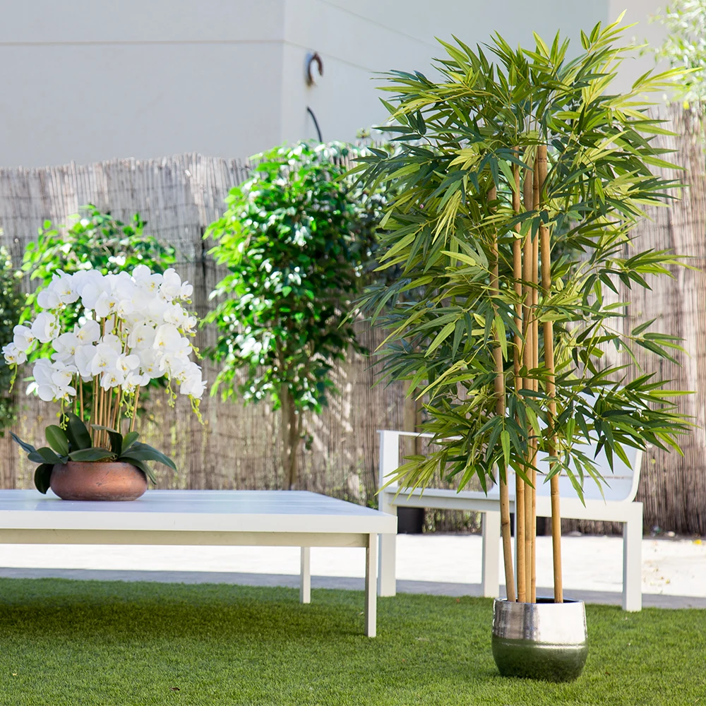 Planta Artificial, Árbol con Troncos Naturales, para Decoración Hogar, Bambú, Ficus, Wisteria, Olivo, Eucalipto, Almendro