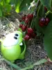 Изображение товара 3