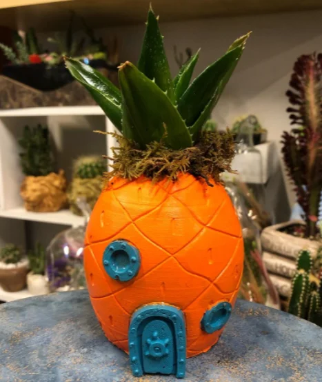 

Spongebob House (Cactus Gift)