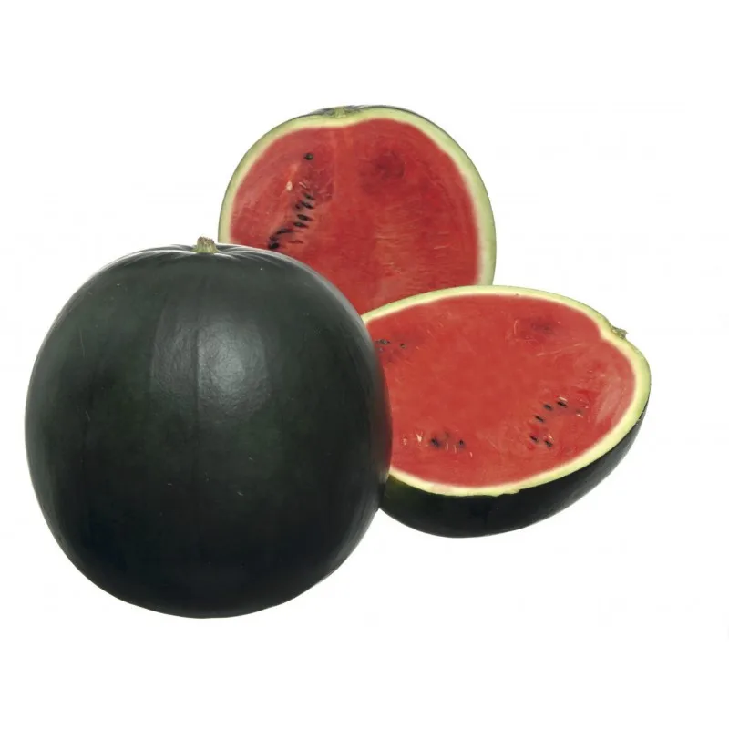 Watermelon seeds Mulate F1 Japanese line professional Vita Green 50 pieces | Seeds