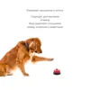 Изображение товара 1