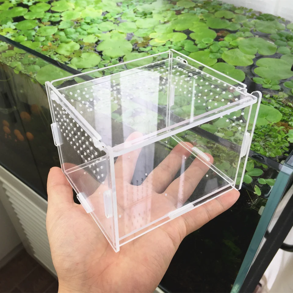 Для улитки акриловая стеклянная коробка ваза мини пейзаж Сказочный Сад DIY Террариум бутылка Achatina