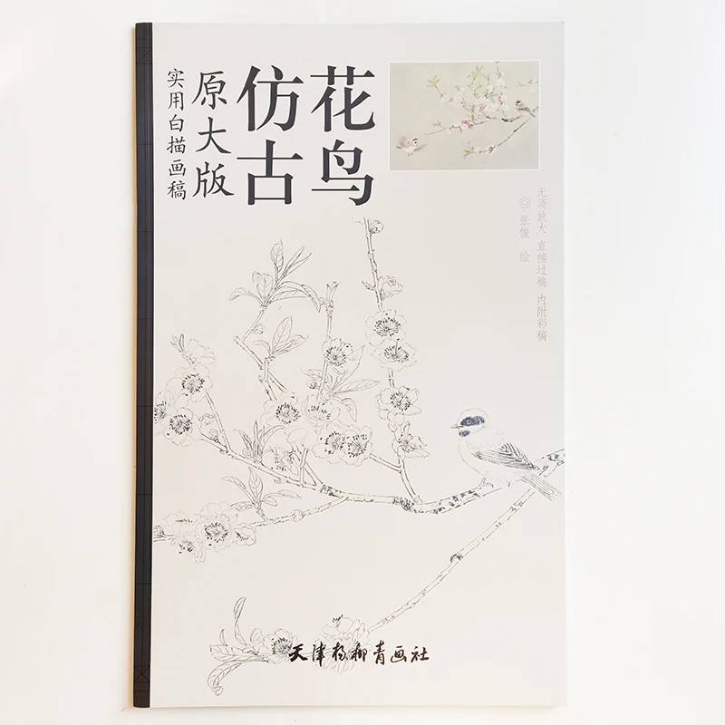 

12Pcs Coloring Papers 8K Size Chinese Antique Flowers and Birds Coloring Paintings Art Book (48x41cm/19.2x16.1In)