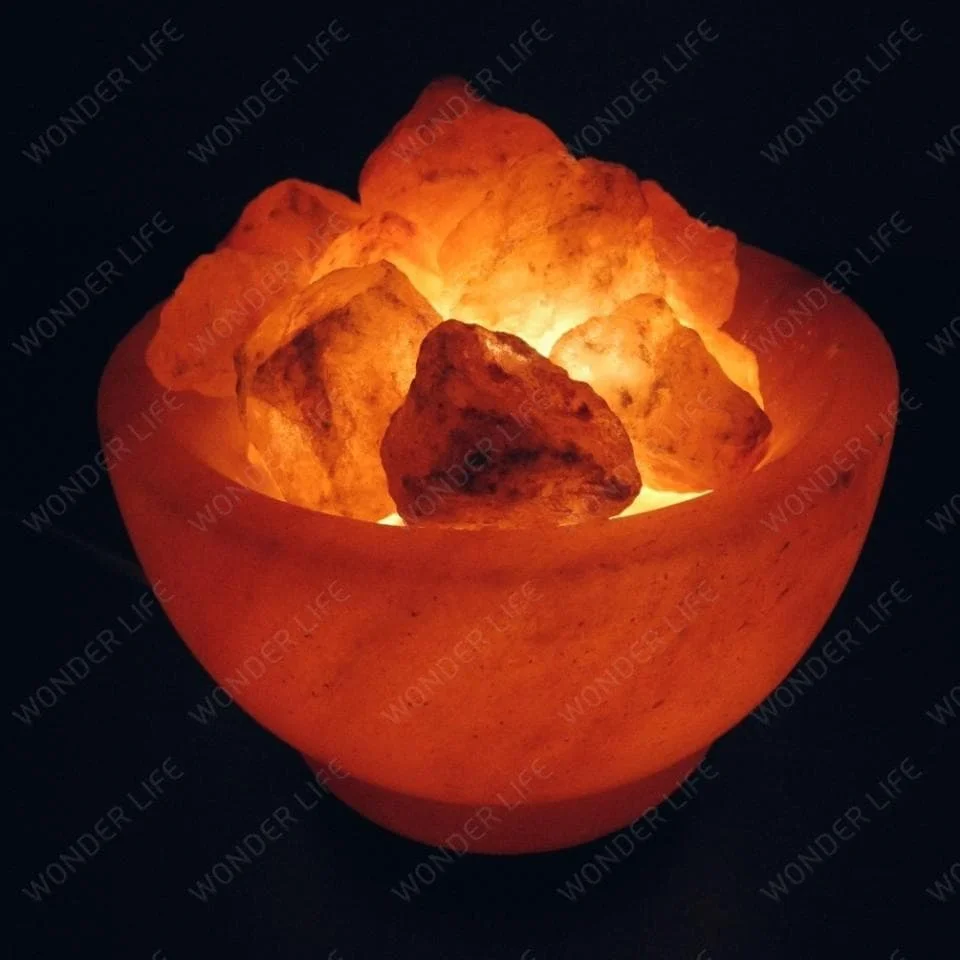 Salt Lamp &quotcircle with wood. Picture birds ". in gift box air purifier | Special Engineering Lighting