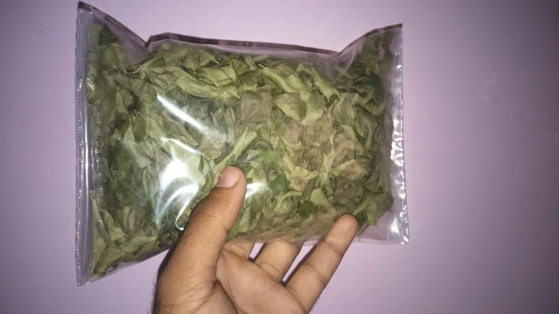 Свежие листья карри органический лист натуральный высушенный|Уход за волосами и