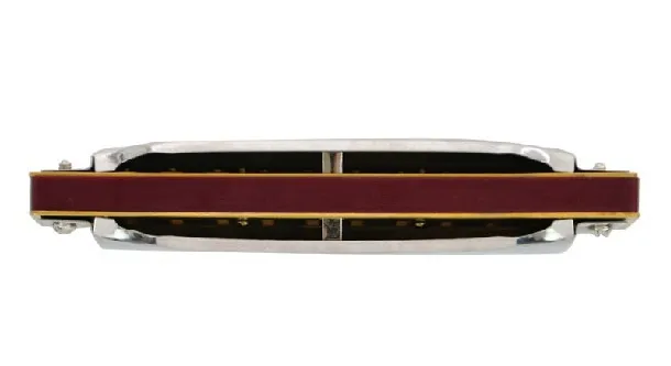 SUZUKI Harmonica Серебряный 1072 фолькмастер арфа диатоническая гармоника A10 отверстие Блюз гаита музыкальный инструмент [C, A, B, D, E, F, G]