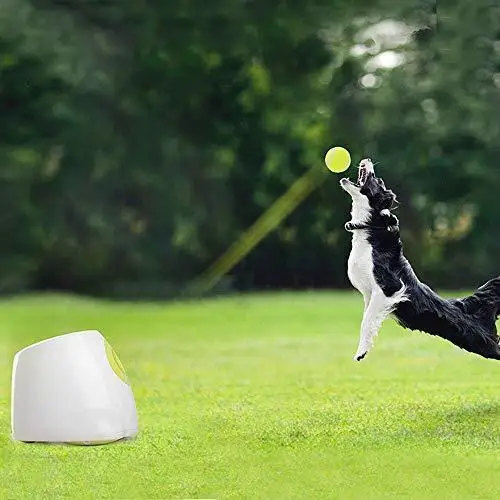 All For Paws Interactive Automatic Dog Ball Launcher Hyper Fetch Tennis Throwing Toy Includes 3 Balls | Дом и сад