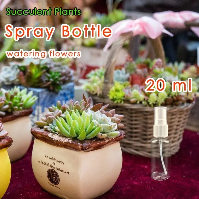 

1 Pcs Mini Spray Bottle 20ml Small Plastic Transparent Sprayers Watering Device For Succulents Add Moisture Garden Flowers