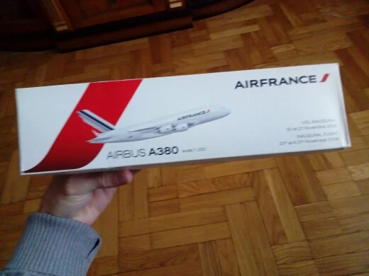 1:250 весы Aircarft Модель Коллекция Airbus A380 Aerobus Air Франция самолет Игрушечная копия