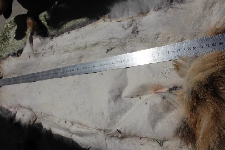 Большой красный лисий мех/оптовая продажа дешевая мех/натуральный мех|fur pelt|fur pelts