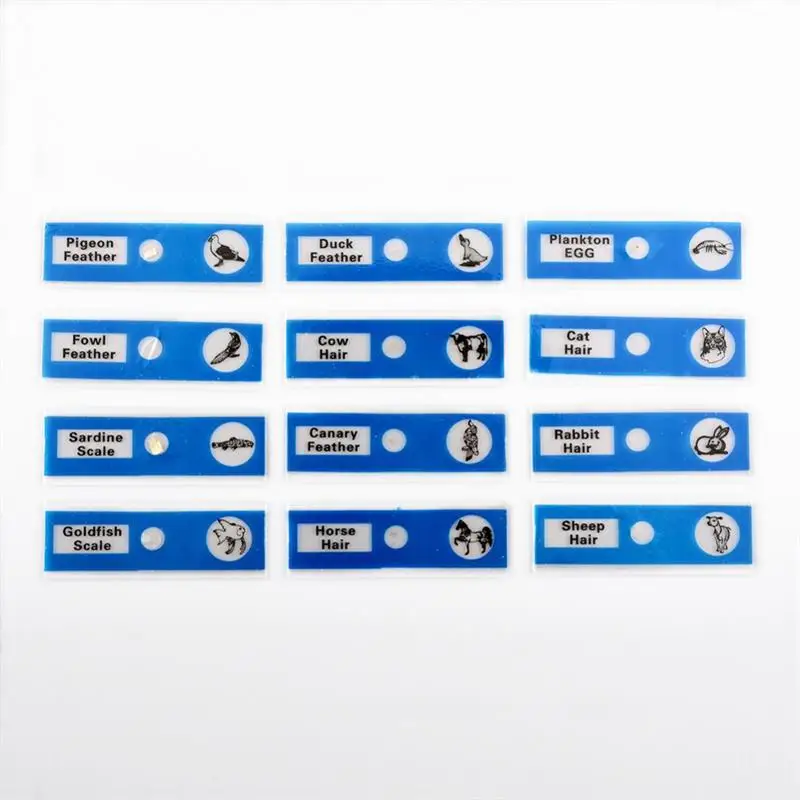 Рождественская акция 12 видов пластиковых микроскопов готовые слайды для детских